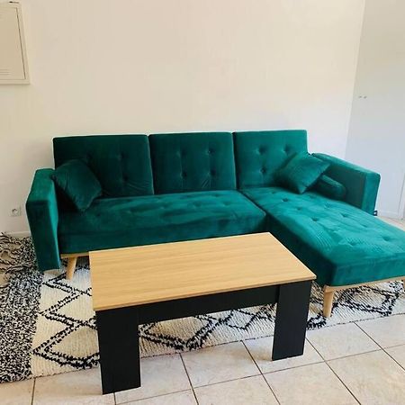 Appartement Rangeuil ตูลูส ภายนอก รูปภาพ