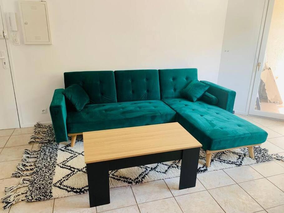 Appartement Rangeuil ตูลูส ภายนอก รูปภาพ
