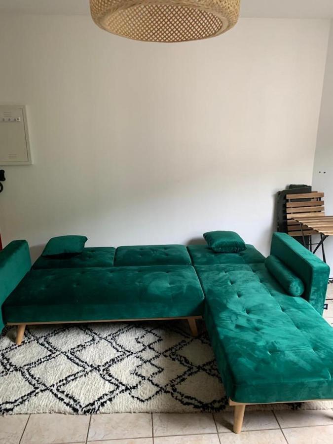 Appartement Rangeuil ตูลูส ภายนอก รูปภาพ